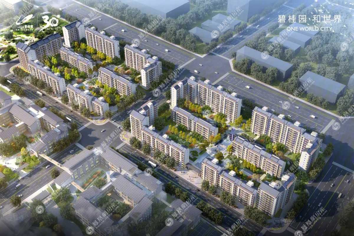 碧桂园和世界效果图1